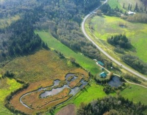 A nice aerial view of Theresa and Brian's property in Smithers, BC. The house has Passive House rated windows with unobstructed exposure on the south side (the long, narrow strip of green field). Rainwater is collected from the roof and into a cistern, providing all the water needed for every purpose.